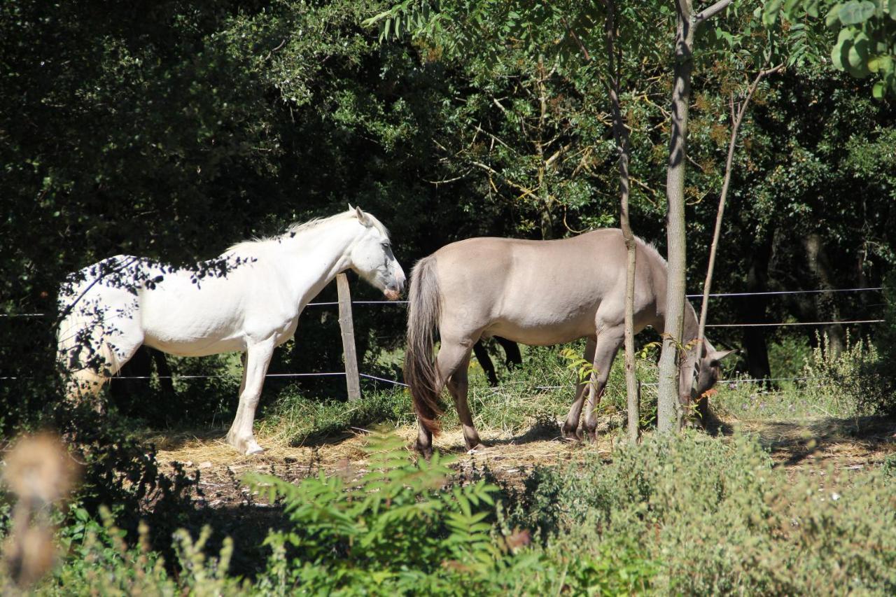 Studio Gard Calme Et Nature Russan エクステリア 写真