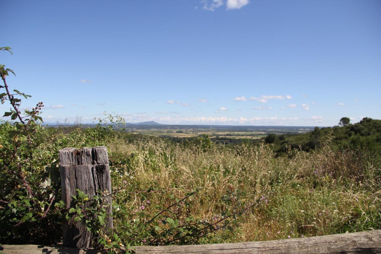 Studio Gard Calme Et Nature Russan エクステリア 写真