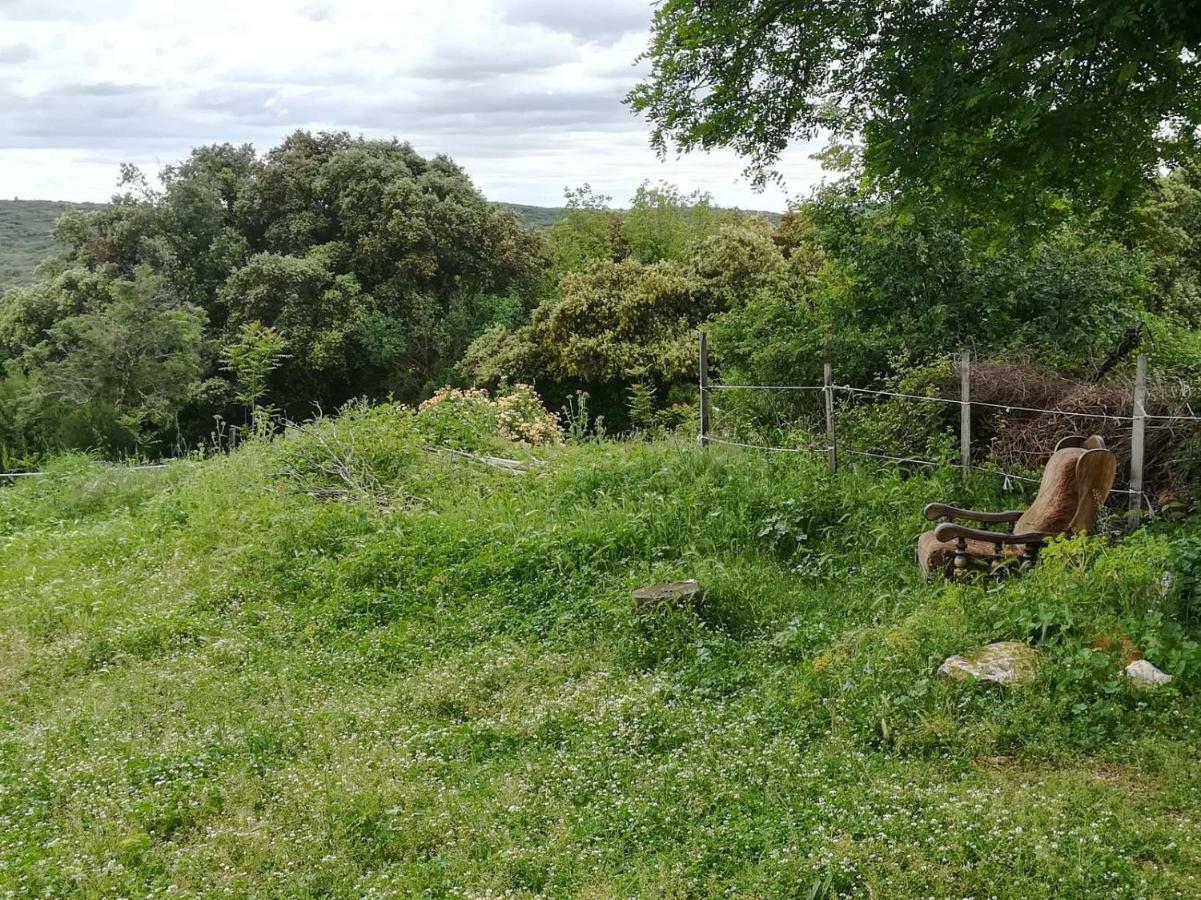 Studio Gard Calme Et Nature Russan エクステリア 写真