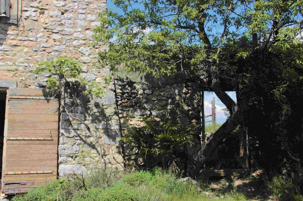 Studio Gard Calme Et Nature Russan エクステリア 写真