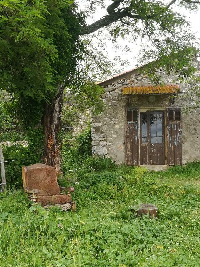 Studio Gard Calme Et Nature Russan エクステリア 写真