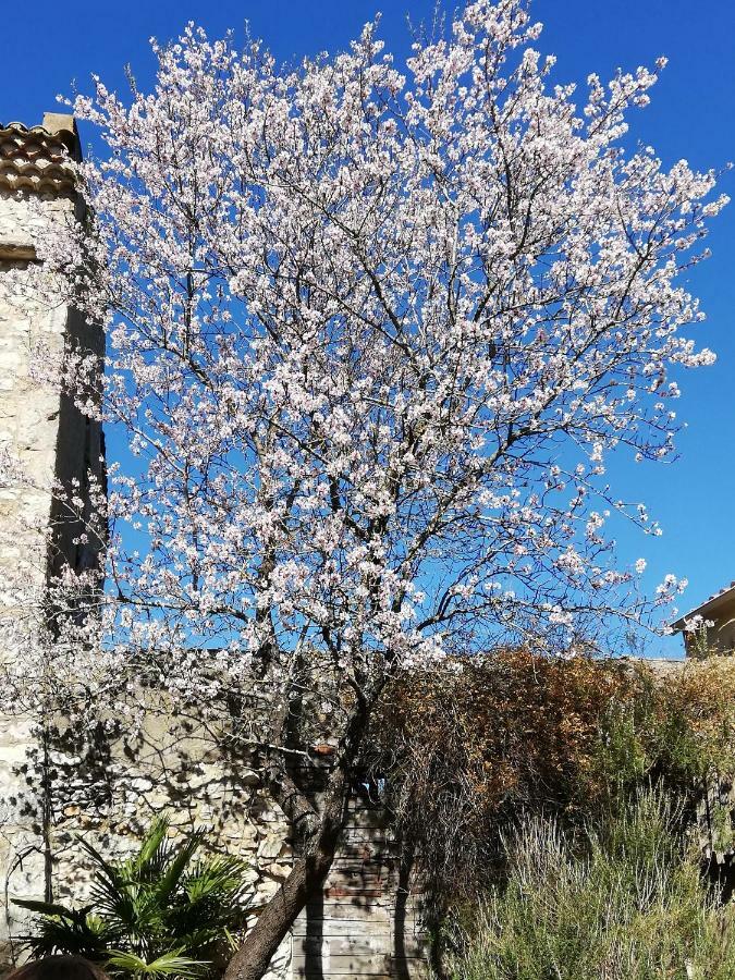 Studio Gard Calme Et Nature Russan エクステリア 写真