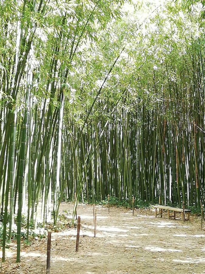 Studio Gard Calme Et Nature Russan エクステリア 写真