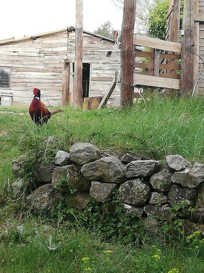 Studio Gard Calme Et Nature Russan エクステリア 写真